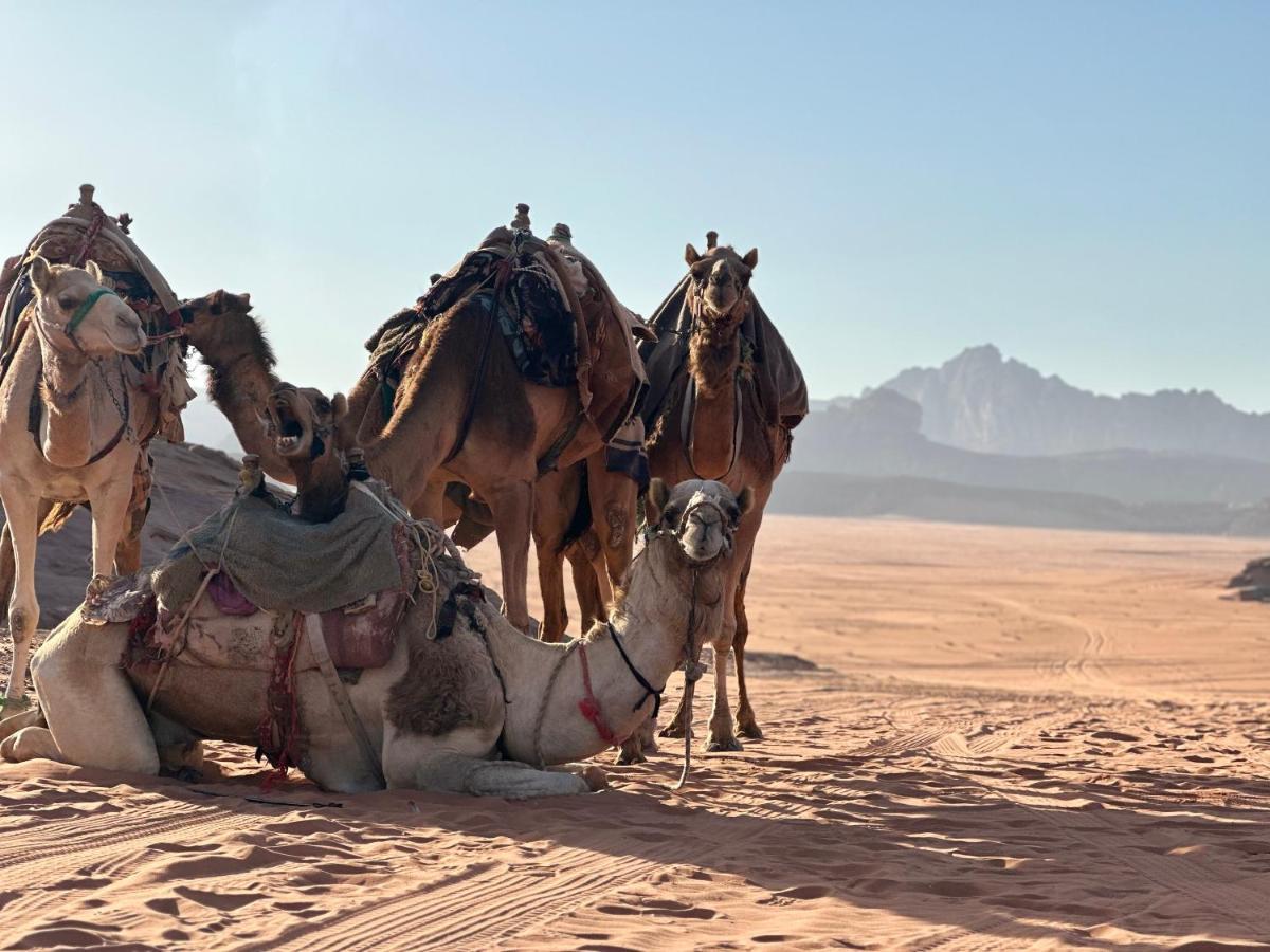 Rum Titanic Camp Wadi Rum Ngoại thất bức ảnh